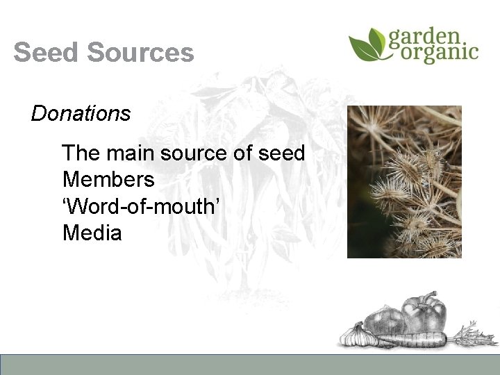 Seed Sources Donations The main source of seed Members ‘Word-of-mouth’ Media 