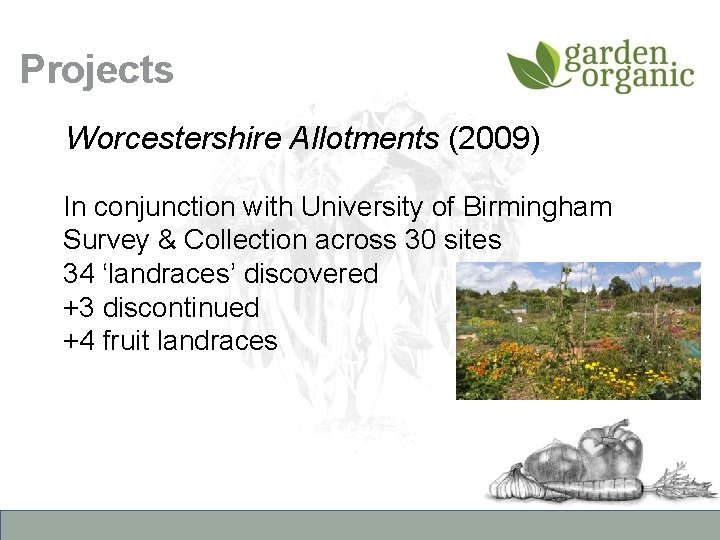 Projects Worcestershire Allotments (2009) In conjunction with University of Birmingham Survey & Collection across