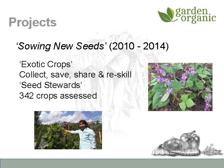 Projects ‘Sowing New Seeds’ (2010 - 2014) ‘Exotic Crops’ Collect, save, share & re-skill