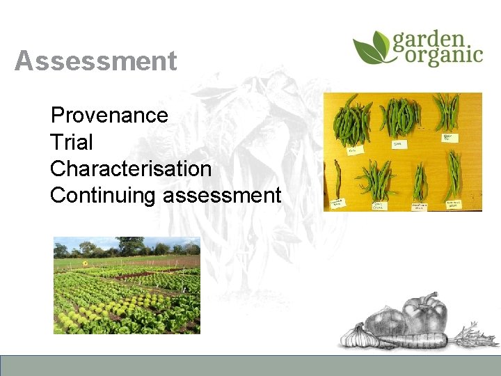 Assessment Provenance Trial Characterisation Continuing assessment 
