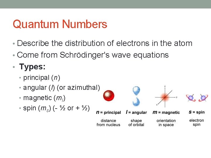 Quantum Numbers • Describe the distribution of electrons in the atom • Come from
