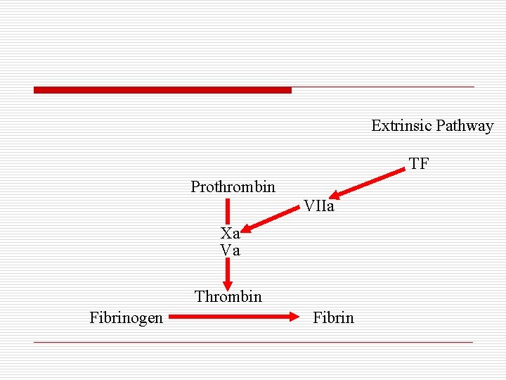 Extrinsic Pathway TF Prothrombin VIIa Xa Va Thrombin Fibrinogen Fibrin 