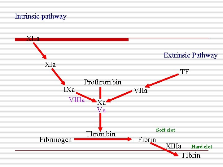 Intrinsic pathway XIIa Extrinsic Pathway XIa TF Prothrombin IXa VIIIa Fibrinogen VIIa Xa Va