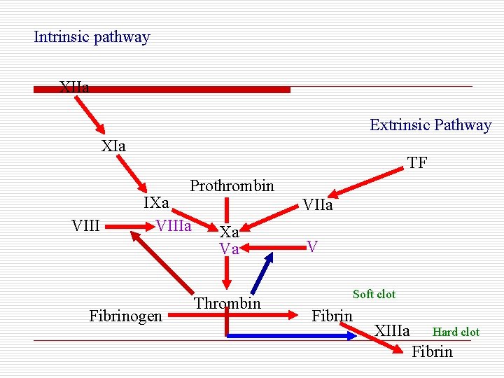 Intrinsic pathway XIIa Extrinsic Pathway XIa TF Prothrombin VIII IXa VIIIa Fibrinogen VIIa Xa