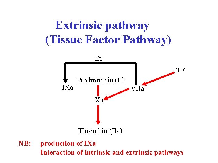 Extrinsic pathway (Tissue Factor Pathway) IX TF IXa Prothrombin (II) VIIa Xa Thrombin (IIa)