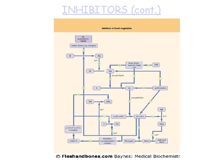 INHIBITORS (cont. ) 