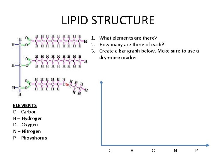 LIPID STRUCTURE 1. What elements are there? 2. How many are there of each?