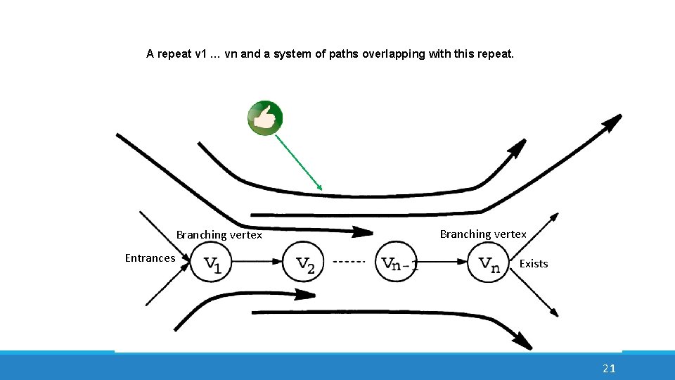 A repeat v 1 … vn and a system of paths overlapping with this
