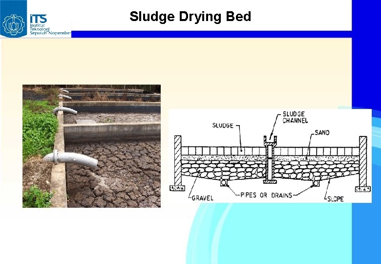 Sludge Drying Bed 