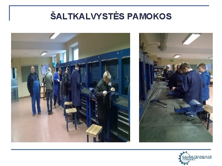 ŠALTKALVYSTĖS PAMOKOS 