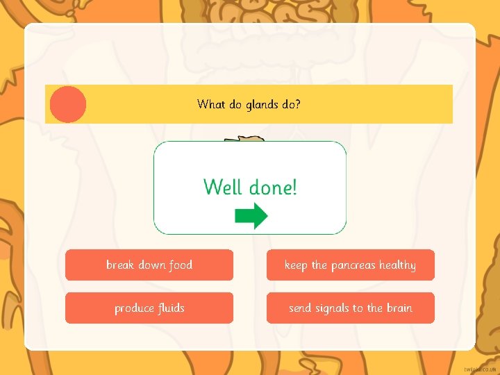 What do glands do? break down food keep the pancreas healthy produce fluids send