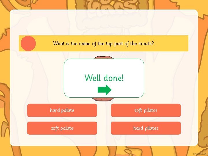 What is the name of the top part of the mouth? hard palate soft