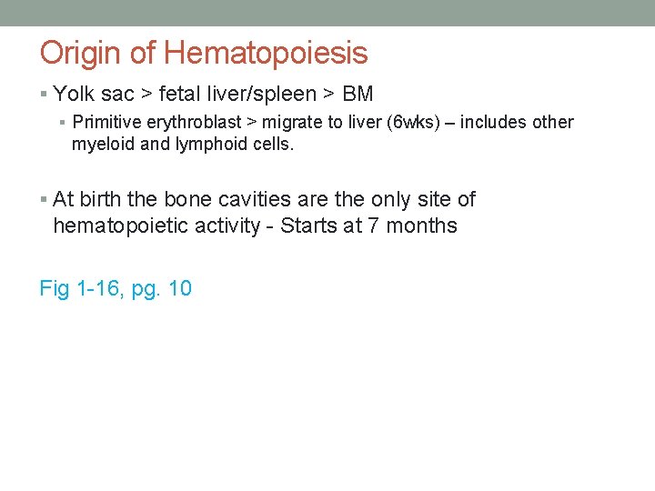 Origin of Hematopoiesis § Yolk sac > fetal liver/spleen > BM § Primitive erythroblast