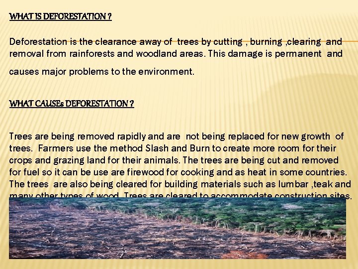 WHAT IS DEFORESTATION ? Deforestation is the clearance away of trees by cutting ,