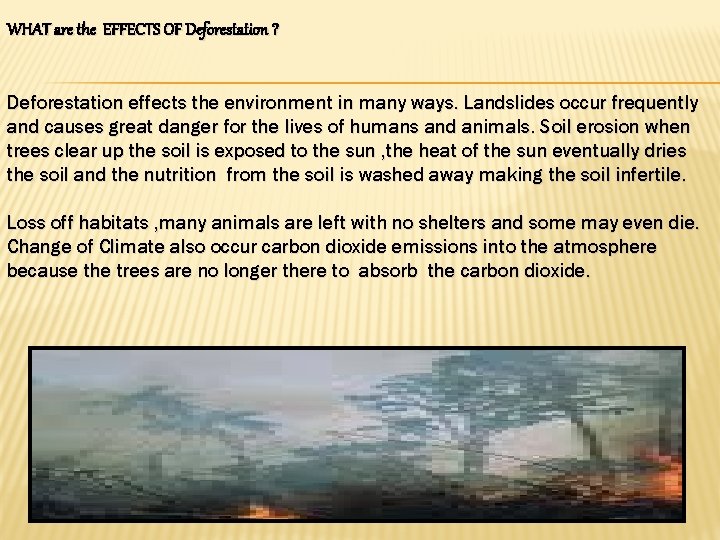 WHAT are the EFFECTS OF Deforestation ? Deforestation effects the environment in many ways.