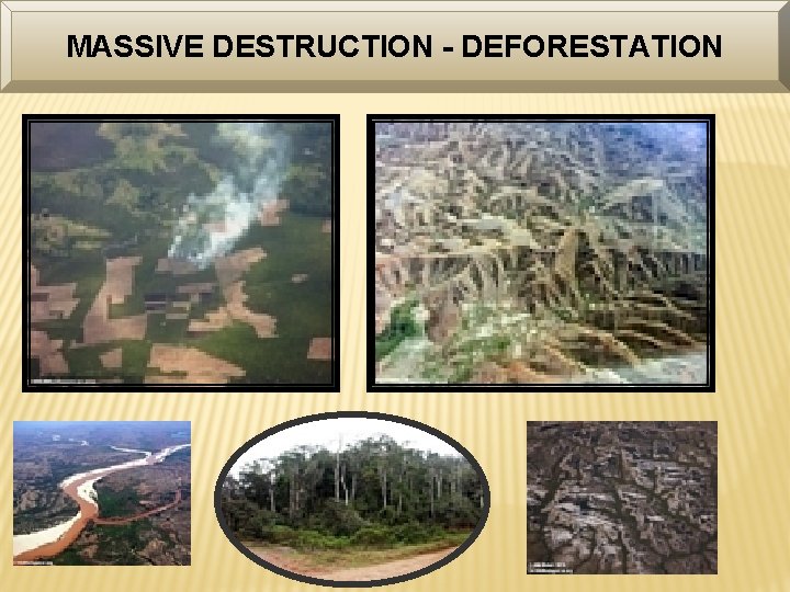 MASSIVE DESTRUCTION - DEFORESTATION 