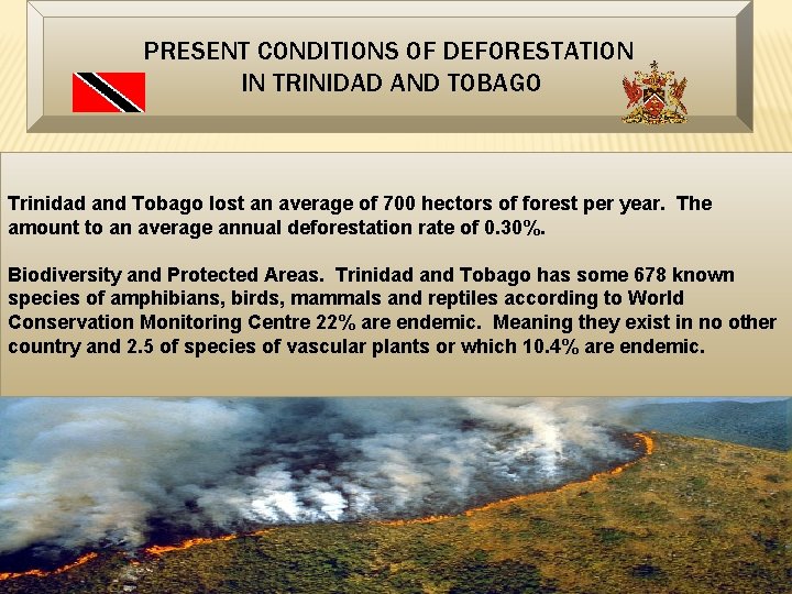 PRESENT CONDITIONS OF DEFORESTATION IN TRINIDAD AND TOBAGO Trinidad and Tobago lost an average
