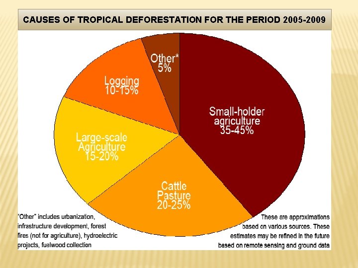 CAUSES OF TROPICAL DEFORESTATION FOR THE PERIOD 2005 -2009 