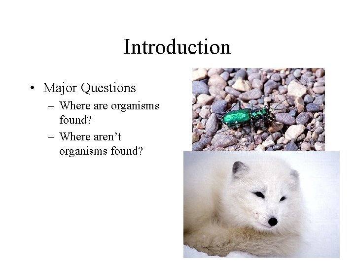 Introduction • Major Questions – Where are organisms found? – Where aren’t organisms found?