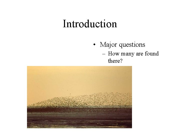 Introduction • Major questions – How many are found there? 