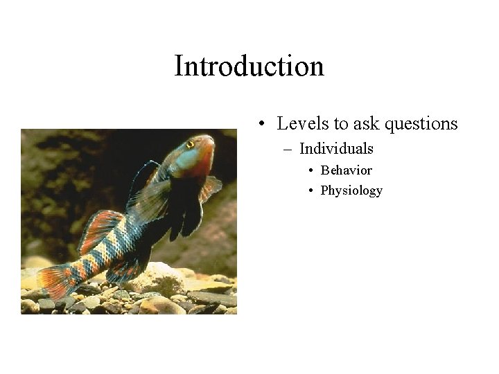 Introduction • Levels to ask questions – Individuals • Behavior • Physiology 