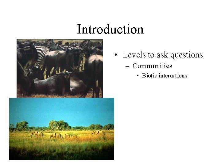 Introduction • Levels to ask questions – Communities • Biotic interactions 