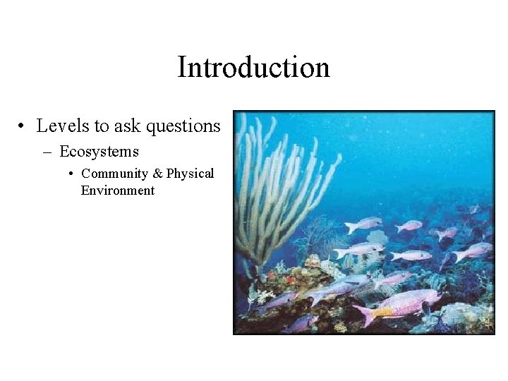 Introduction • Levels to ask questions – Ecosystems • Community & Physical Environment 