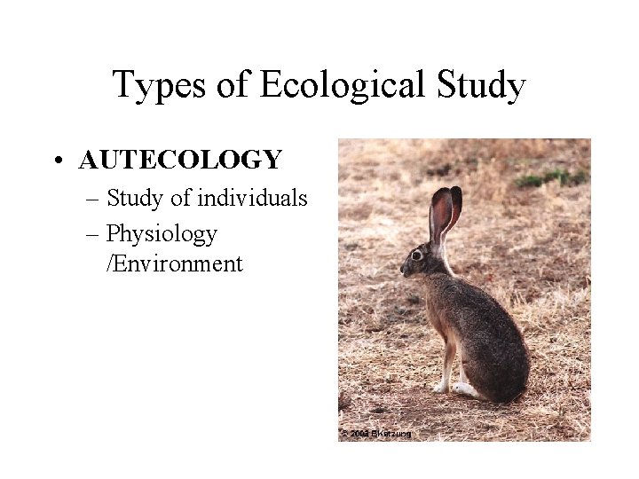 Types of Ecological Study • AUTECOLOGY – Study of individuals – Physiology /Environment 