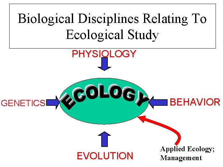 Biological Disciplines Relating To Ecological Study PHYSIOLOGY BEHAVIOR GENETICS EVOLUTION Applied Ecology; Management 