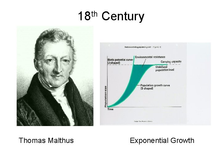 18 th Century Thomas Malthus Exponential Growth 