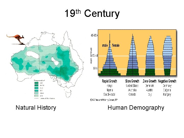 19 th Century Natural History Human Demography 