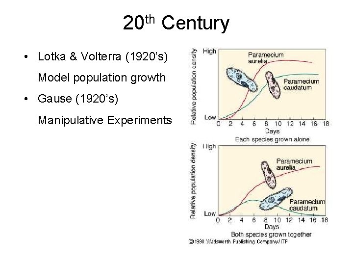 20 th Century • Lotka & Volterra (1920’s) Model population growth • Gause (1920’s)