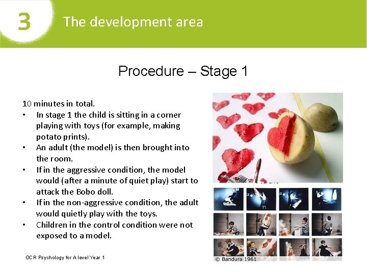 The development area Procedure – Stage 1 10 minutes in total. • In stage