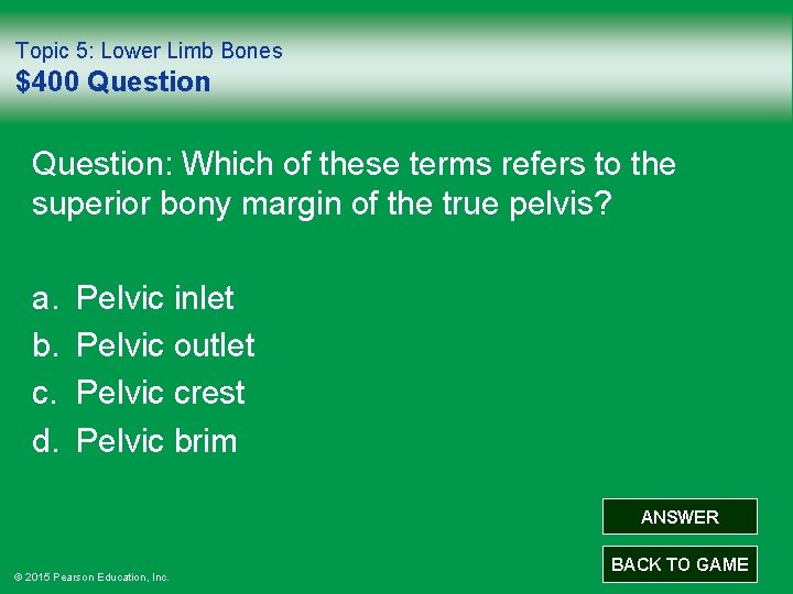 Topic 5: Lower Limb Bones $400 Question: Which of these terms refers to the