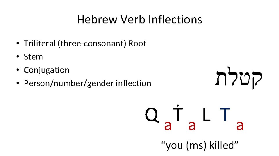 Hebrew Verb Inflections • • Triliteral (three-consonant) Root Stem Conjugation Person/number/gender inflection קטלת Q