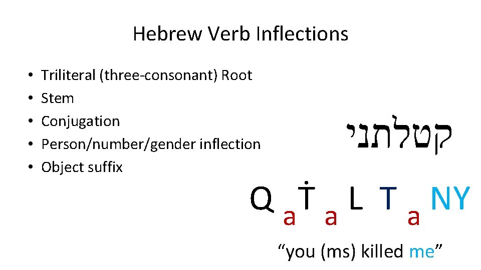 Hebrew Verb Inflections • • • Triliteral (three-consonant) Root Stem Conjugation Person/number/gender inflection Object