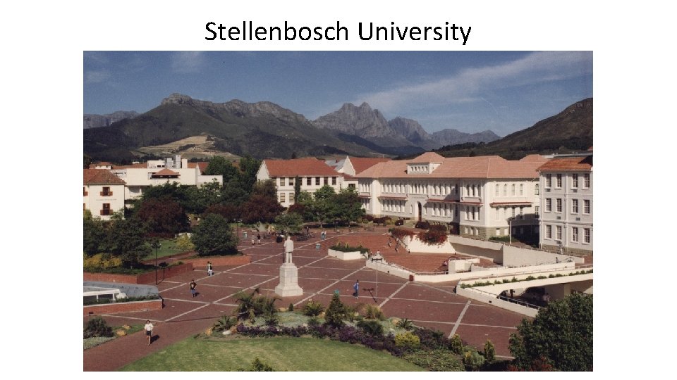 Stellenbosch University 