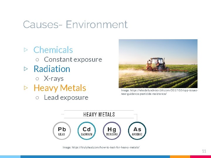 Causes- Environment ▷ Chemicals ○ Constant exposure ▷ Radiation ○ X-rays ▷ Heavy Metals