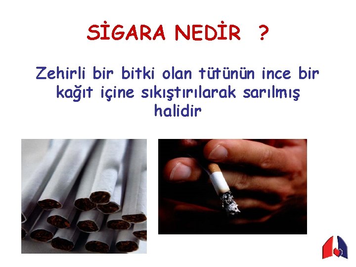 SİGARA NEDİR ? Zehirli bir bitki olan tütünün ince bir kağıt içine sıkıştırılarak sarılmış