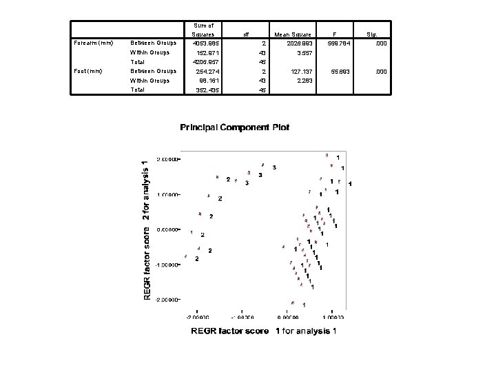 Forearm (mm) Between Groups Within Groups Total Foot (mm) Between Groups Within Groups Total