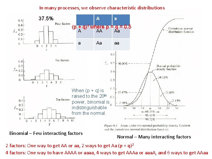 In many processes, we observe characteristic distributions A 37. 5% a (p + q)4