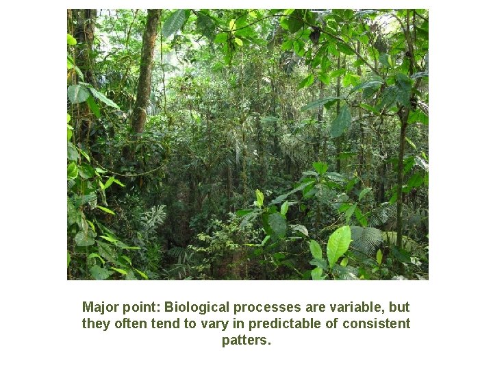 Major point: Biological processes are variable, but they often tend to vary in predictable