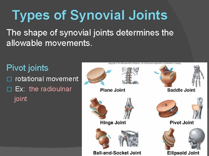 Types of Synovial Joints The shape of synovial joints determines the allowable movements. Pivot