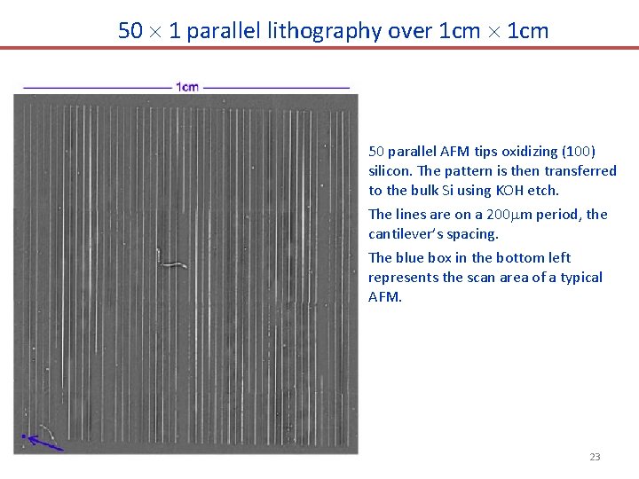 50 1 parallel lithography over 1 cm 50 parallel AFM tips oxidizing (100) silicon.
