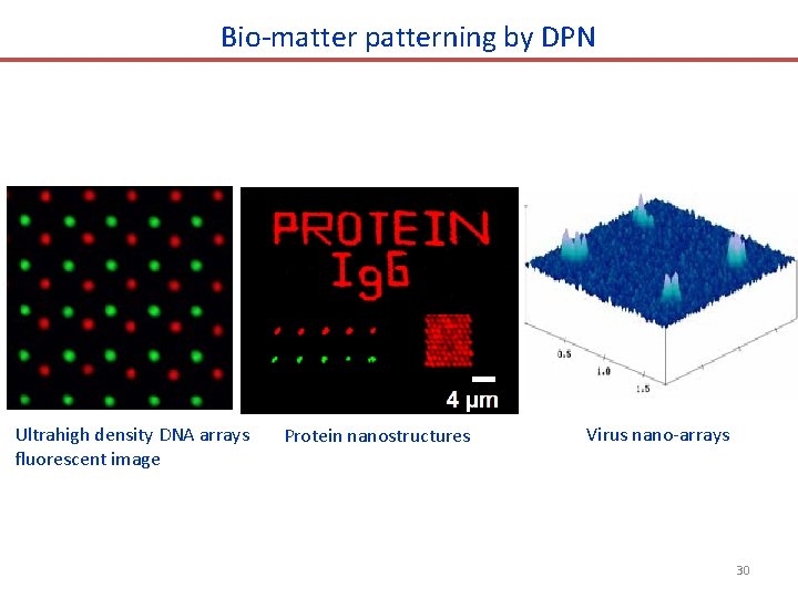 Bio-matter patterning by DPN Ultrahigh density DNA arrays fluorescent image Protein nanostructures Virus nano-arrays