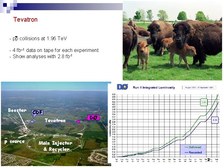 Tevatron - pp collisions at 1. 96 Te. V - 4 fb– 1 data