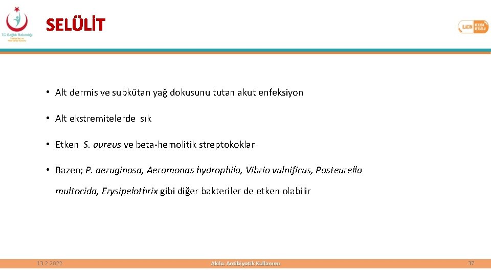 SELÜLİT • Alt dermis ve subkütan yağ dokusunu tutan akut enfeksiyon • Alt ekstremitelerde