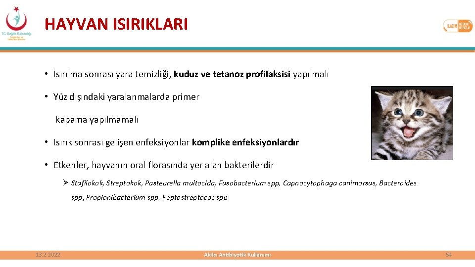 HAYVAN ISIRIKLARI • Isırılma sonrası yara temizliği, kuduz ve tetanoz profilaksisi yapılmalı • Yüz