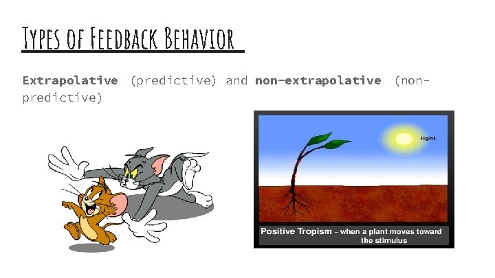 Types of Feedback Behavior Extrapolative (predictive) and non-extrapolative (nonpredictive) 
