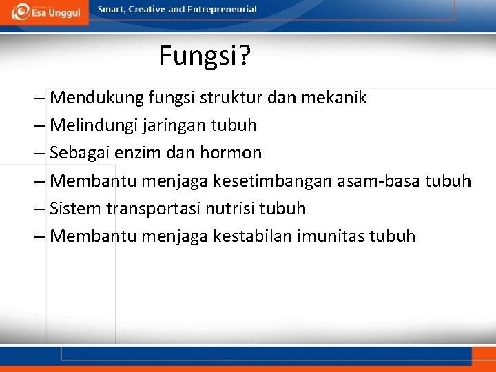 Fungsi? – Mendukung fungsi struktur dan mekanik – Melindungi jaringan tubuh – Sebagai enzim